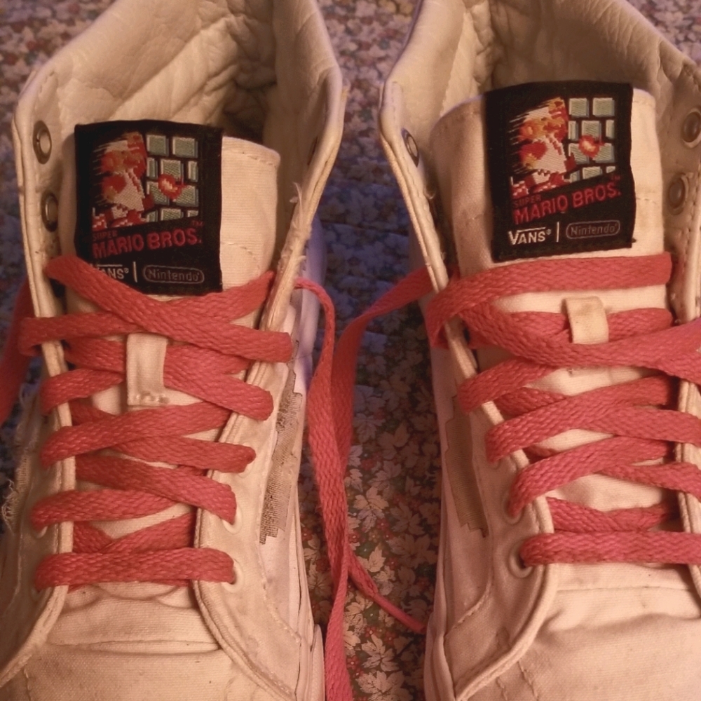 Rare Mario Bros Vans